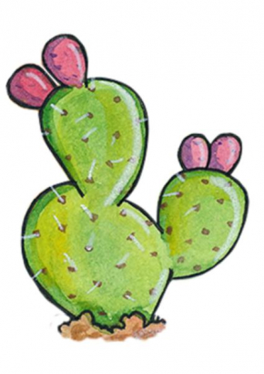 B&b Opuntia